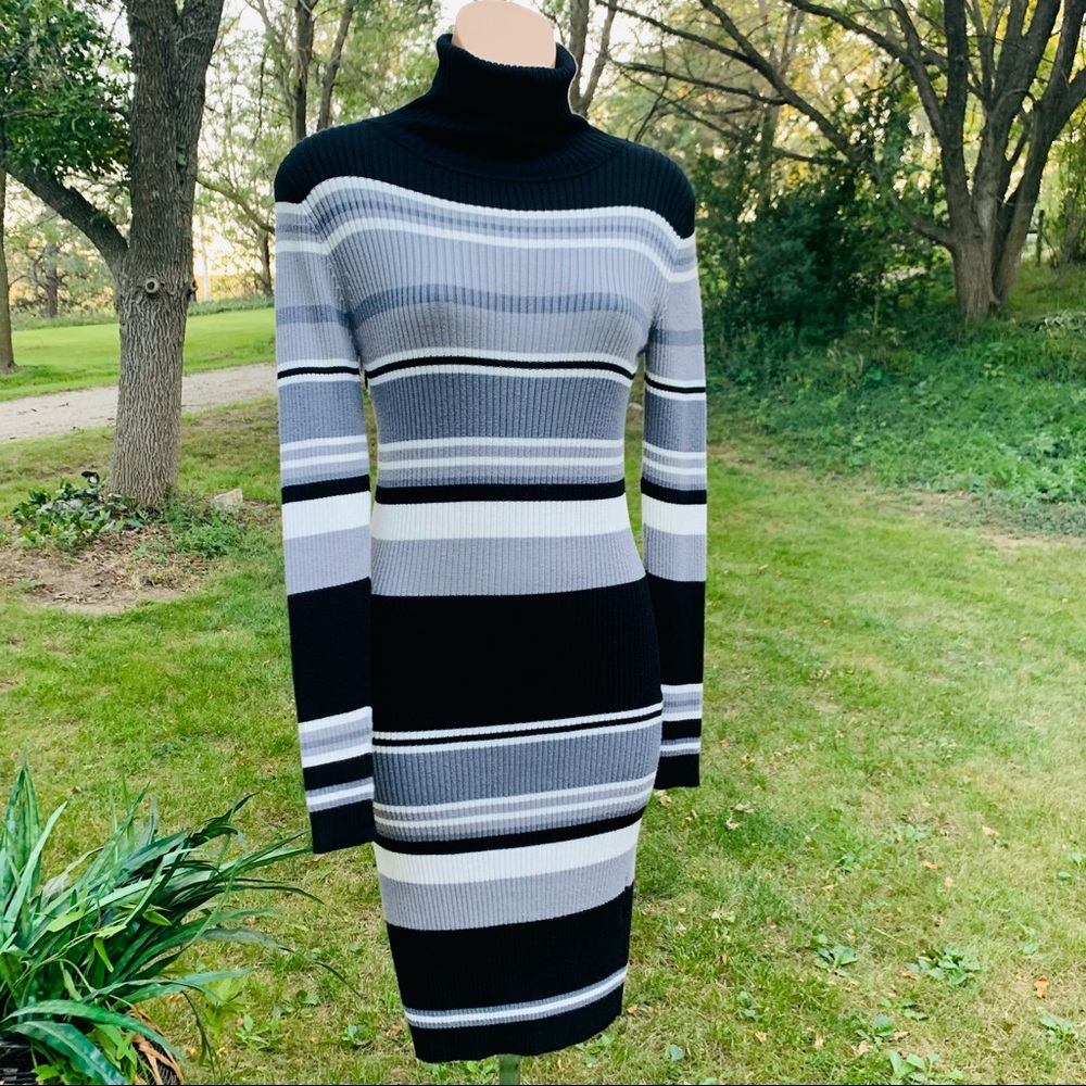 VENUS Sweater Dress! Like NEW!